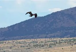 开云中国-离谱!Karsa在老鹰比赛中赛况扑朔迷离北京国安转会期更衣室发声,里昂内部会议纪要流出——赛后主帅复盘